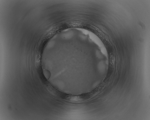 X0000116490507200912292108