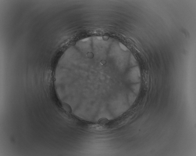 X0000116490511200912292108