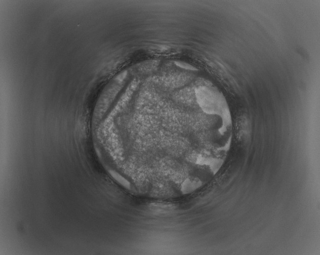 X0000116490515200912292108