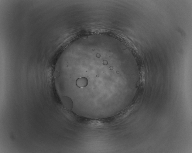 X0000116490519200912292108