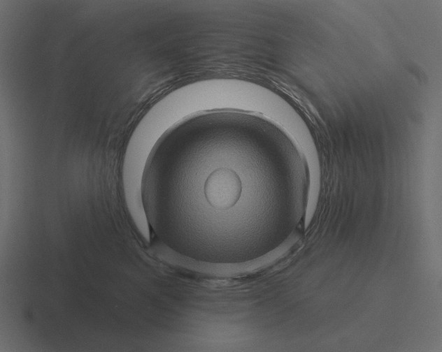 X0000116490521200912292108