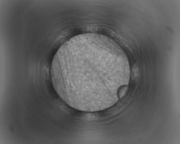 X0000116490522200912292108