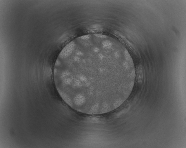 X0000116490523200912292108