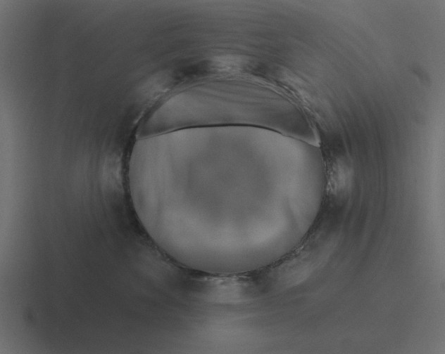 X0000116490524200912292108