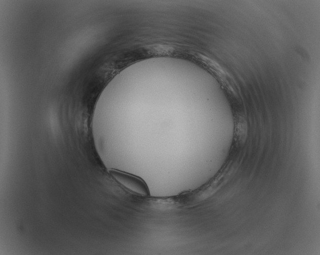 X0000116490525200912292108