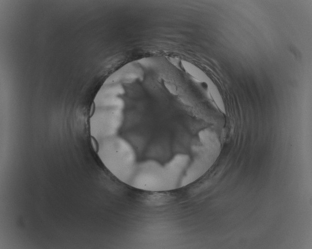 X0000116490527200912292108