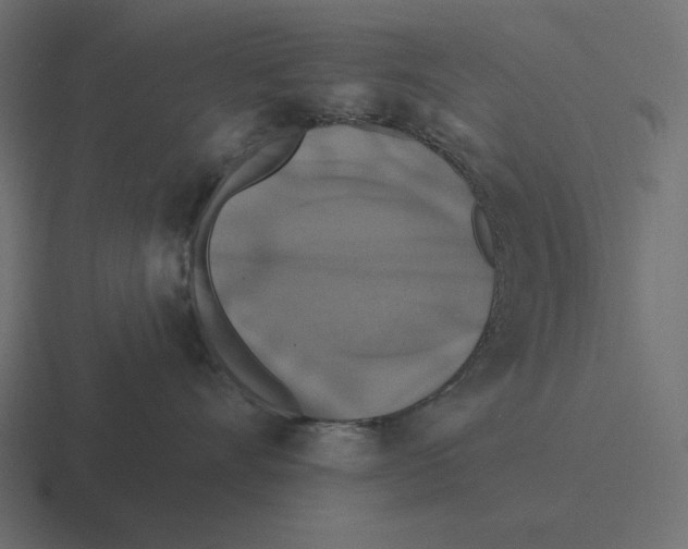 X0000116490528200912292108