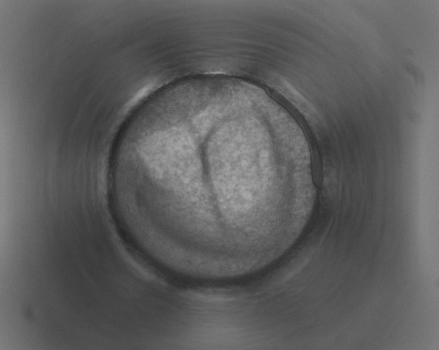 X0000116490530200912292107