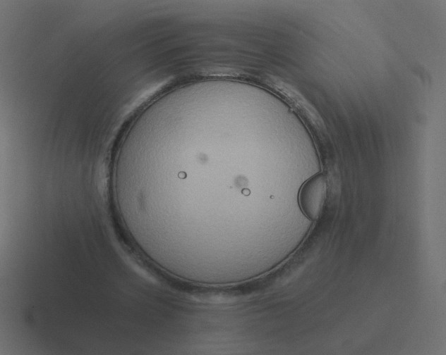 X0000116490533200912292107