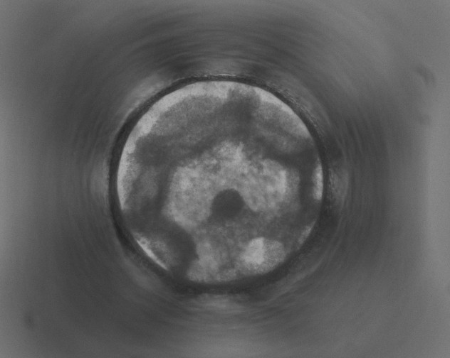 X0000116490534200912292107