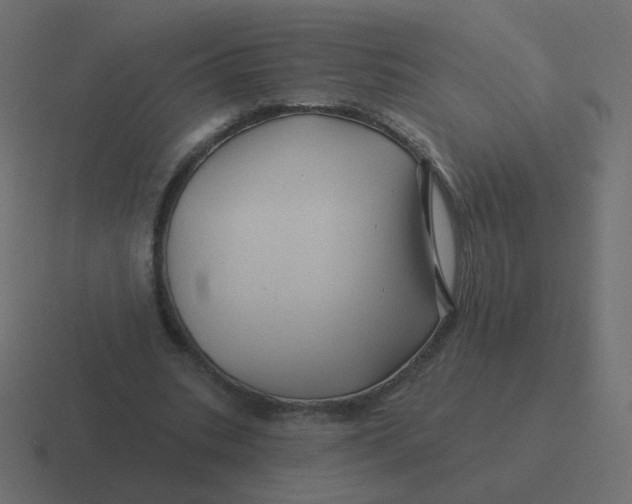 X0000116490535200912292107