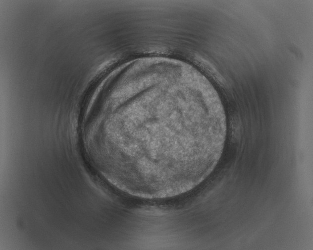 X0000116490538200912292107