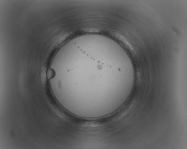 X0000116490541200912292107