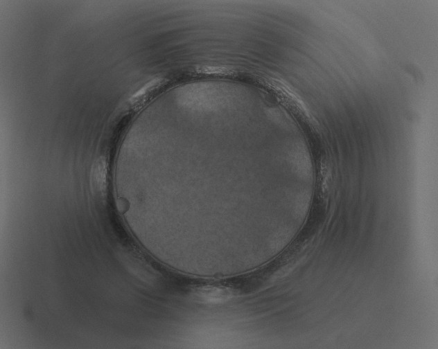 X0000116490542200912292107