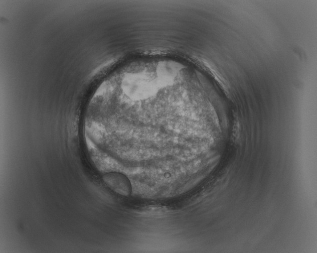 X0000116490543200912292107