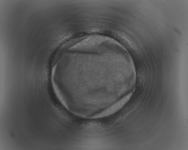 X0000116490546200912292107