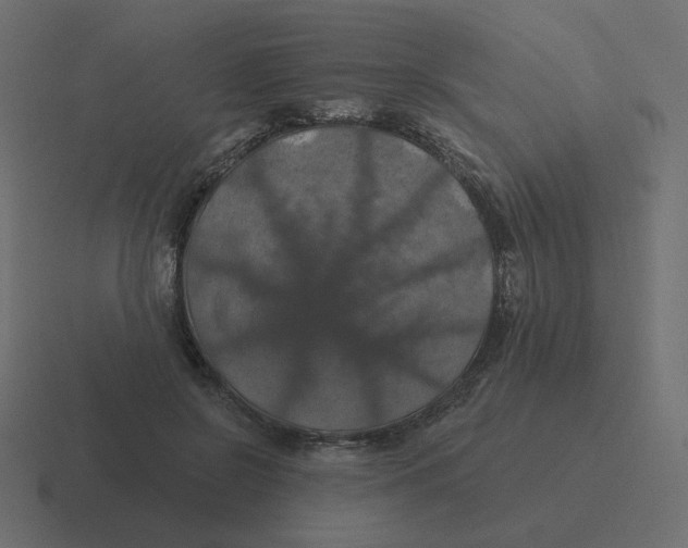 X0000116490550200912292107