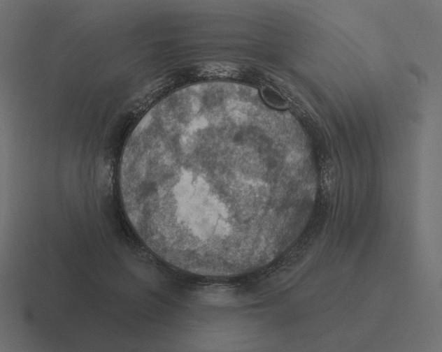 X0000116490551200912292107