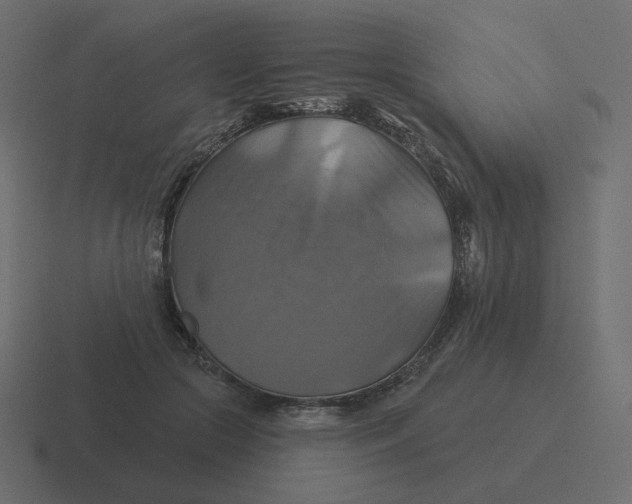 X0000116490553200912292107