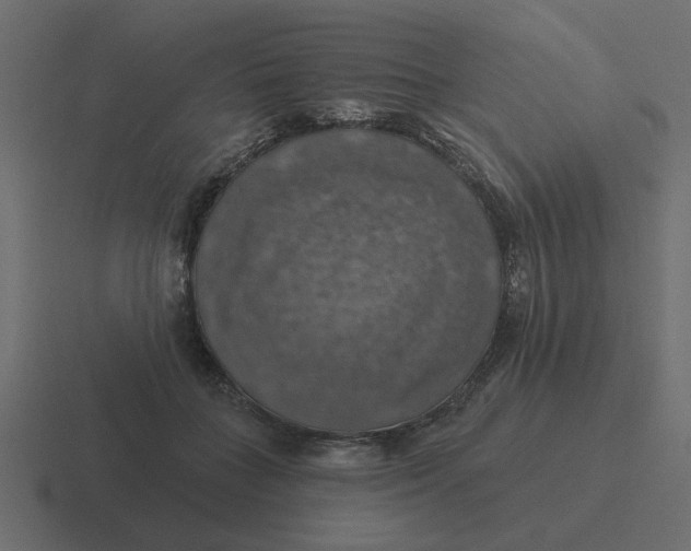 X0000116490555200912292107