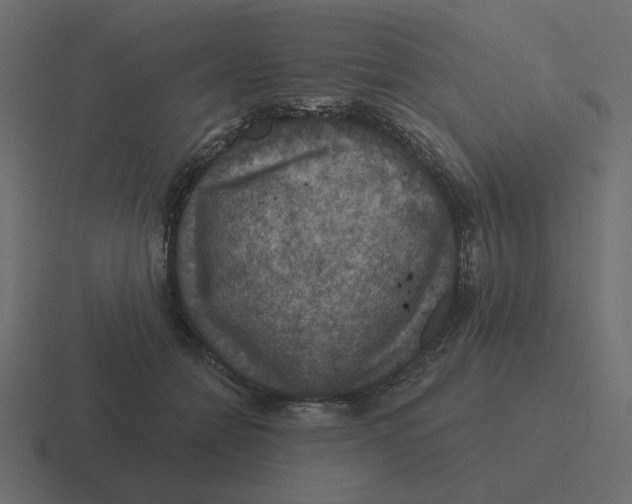 X0000116490558200912292107