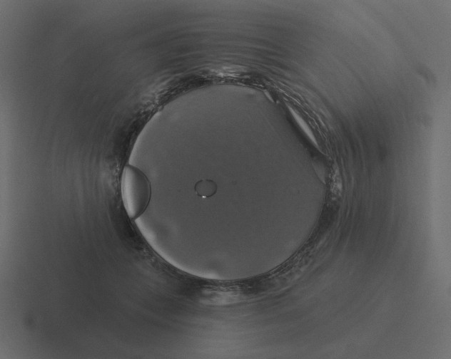 X0000116490559200912292107