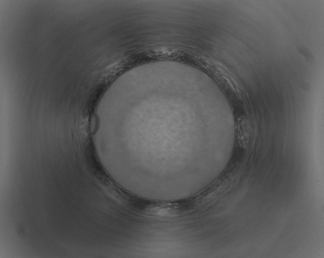 X0000116490563200912292107