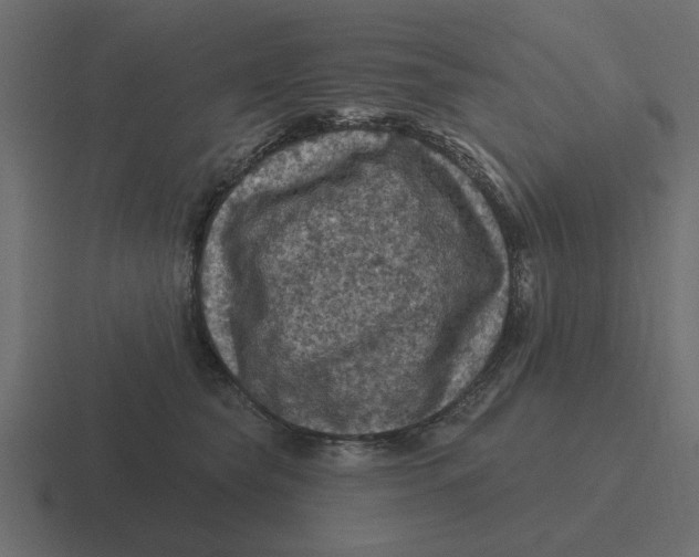 X0000116490565200912292108