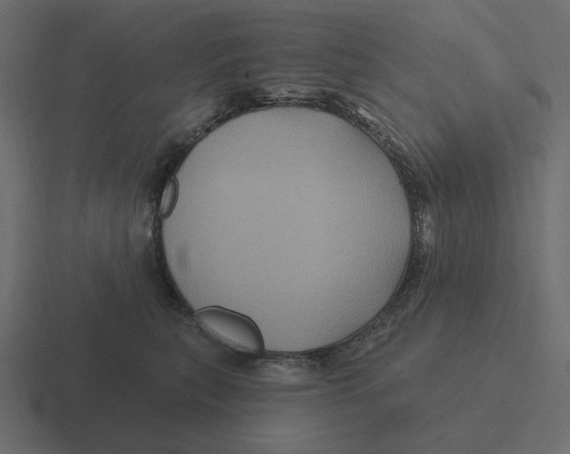 X0000116490567200912292108