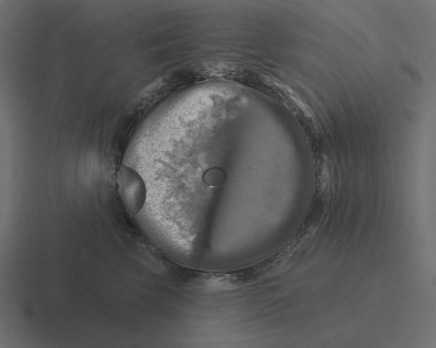 X0000116490569200912292108