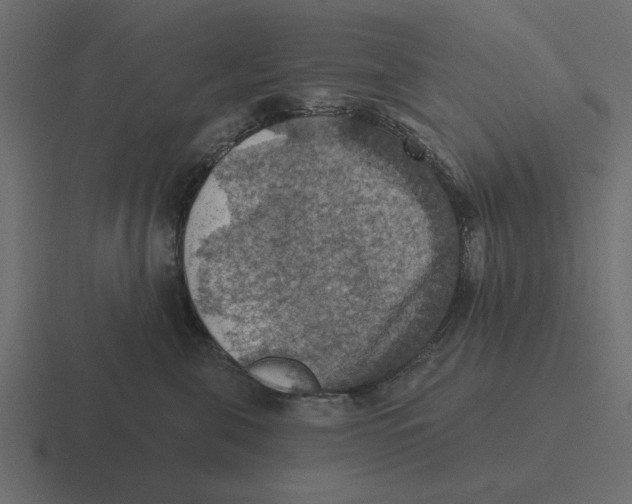 X0000116490571200912292108