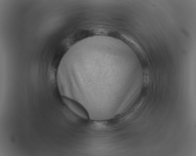 X0000116490573200912292108