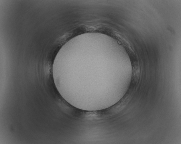 X0000116490574200912292108