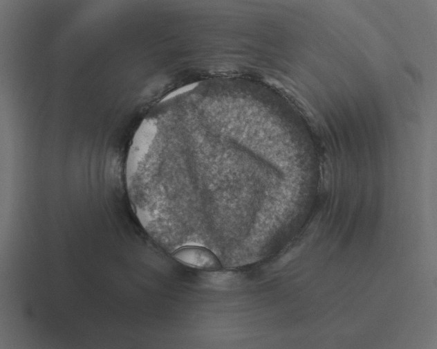 X0000116490575200912292108