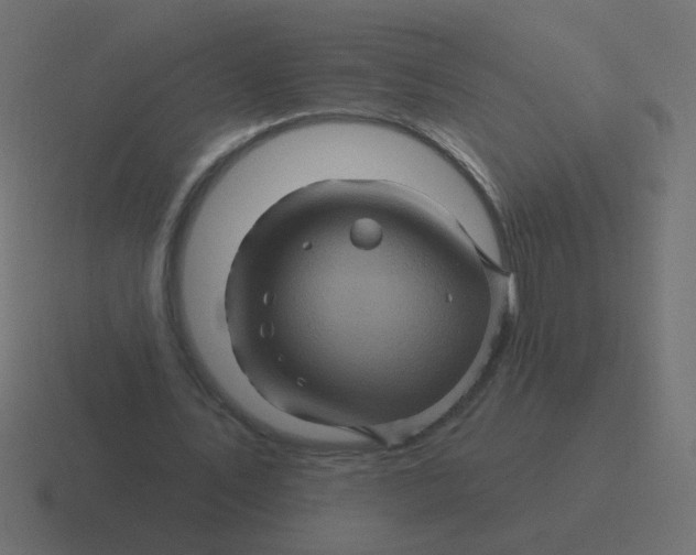 X0000116490579200912292107