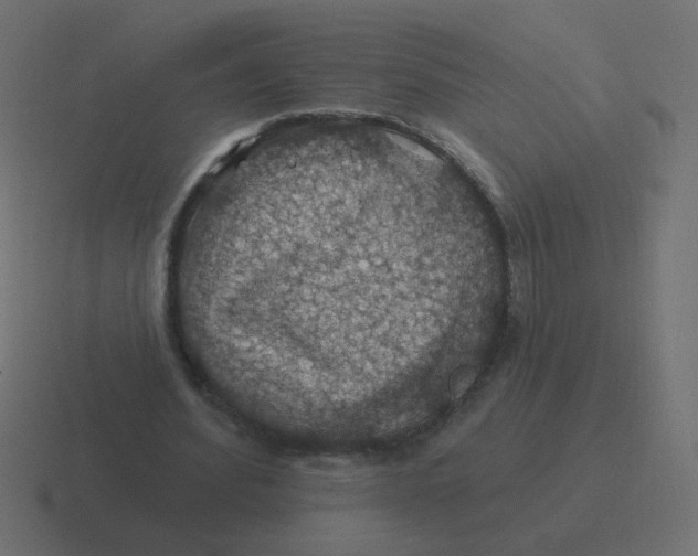 X0000116490580200912292107