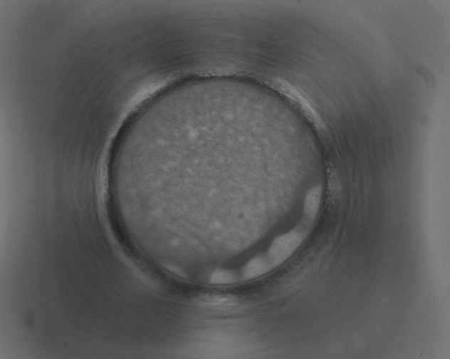 X0000116490582200912292107