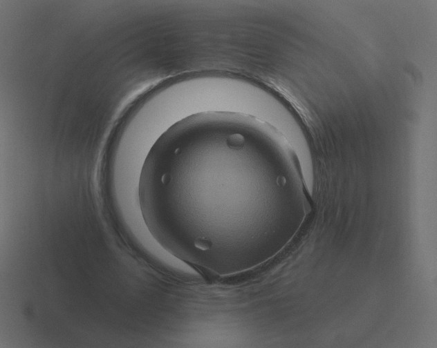 X0000116490583200912292107