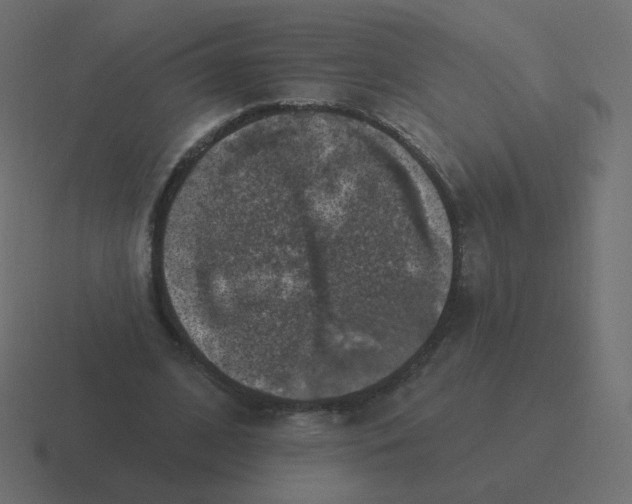 X0000116490584200912292107