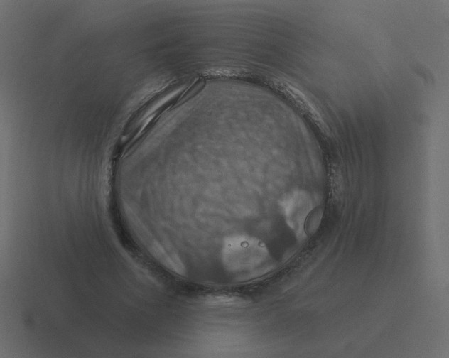 X0000116490586200912292107