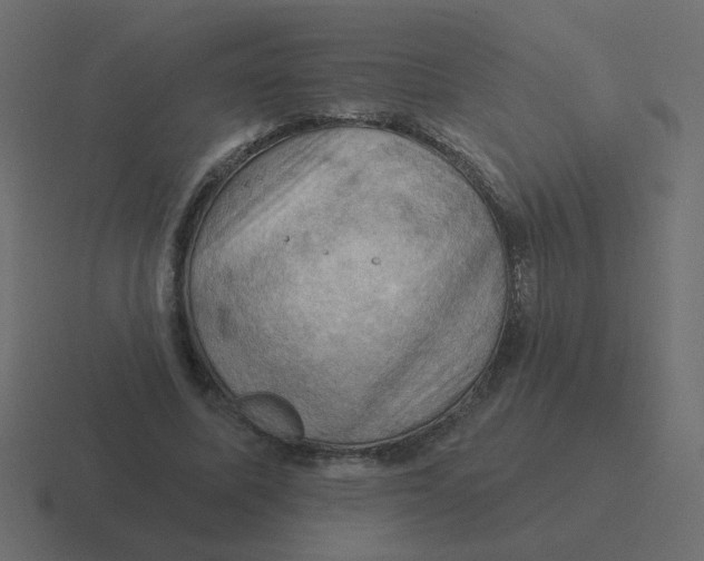 X0000116490587200912292107