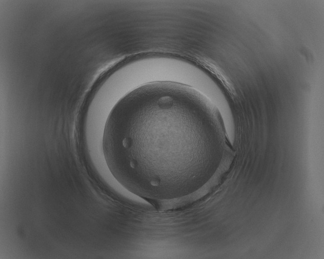 X0000116490588200912292107