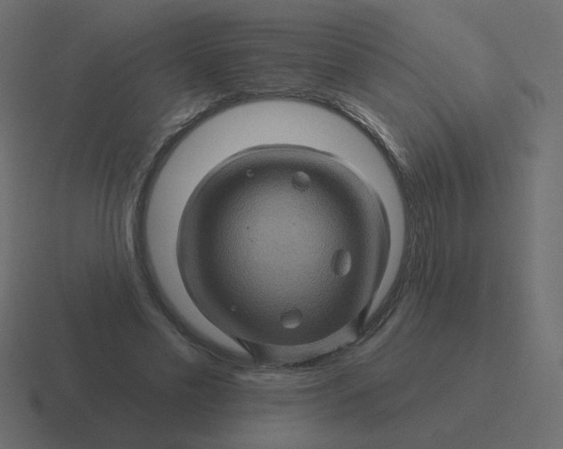 X0000116490589200912292107