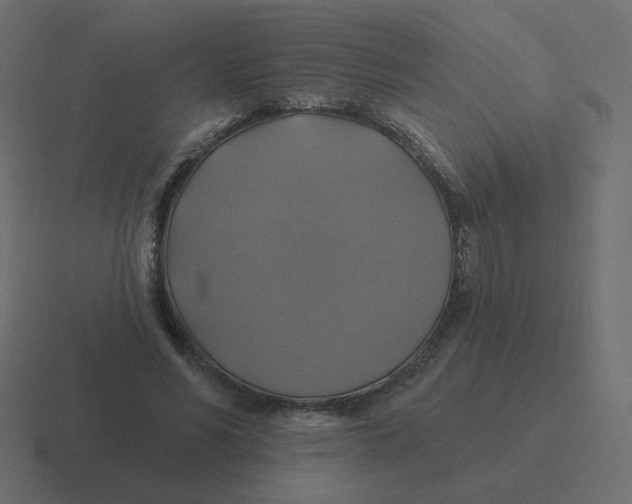 X0000116490590200912292107