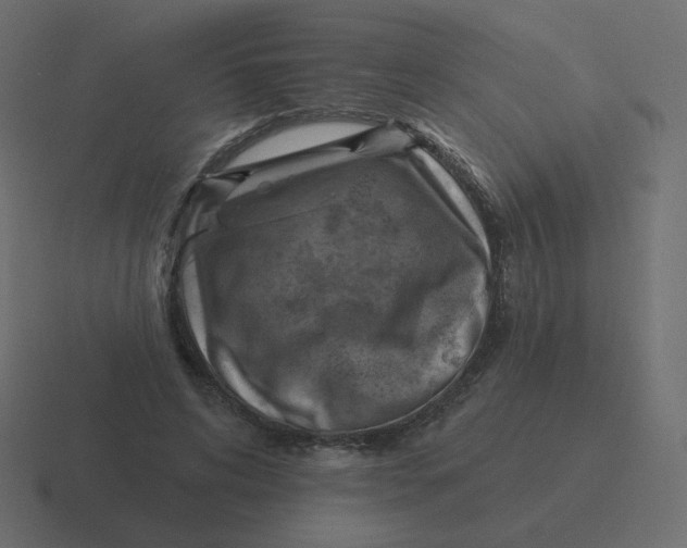 X0000116490592200912292107