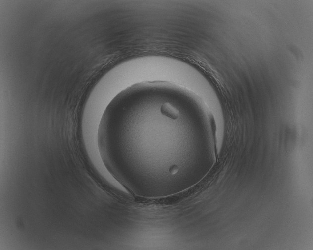 X0000116490593200912292107