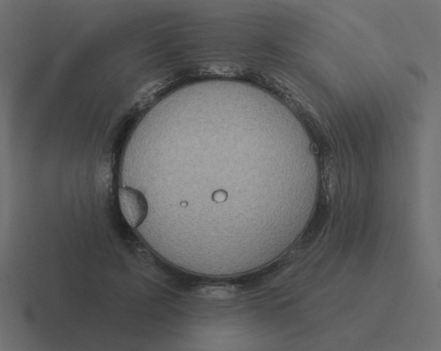 X0000116490595200912292107