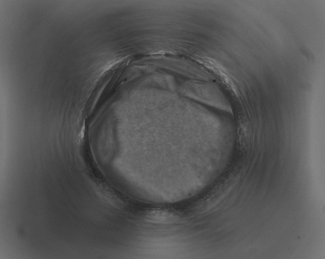 X0000116490596200912292107