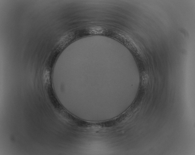 X0000116490598200912292107