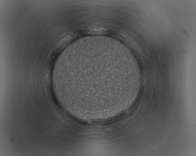 X0000116490599200912292107